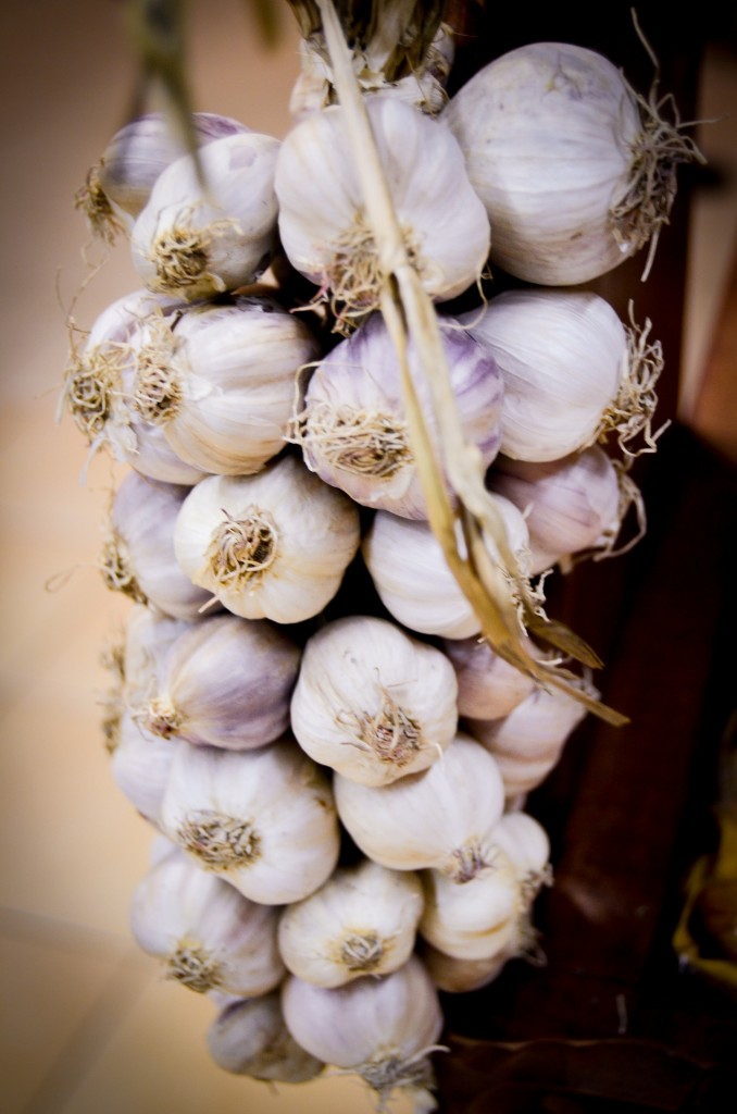 garlic-428116_1920